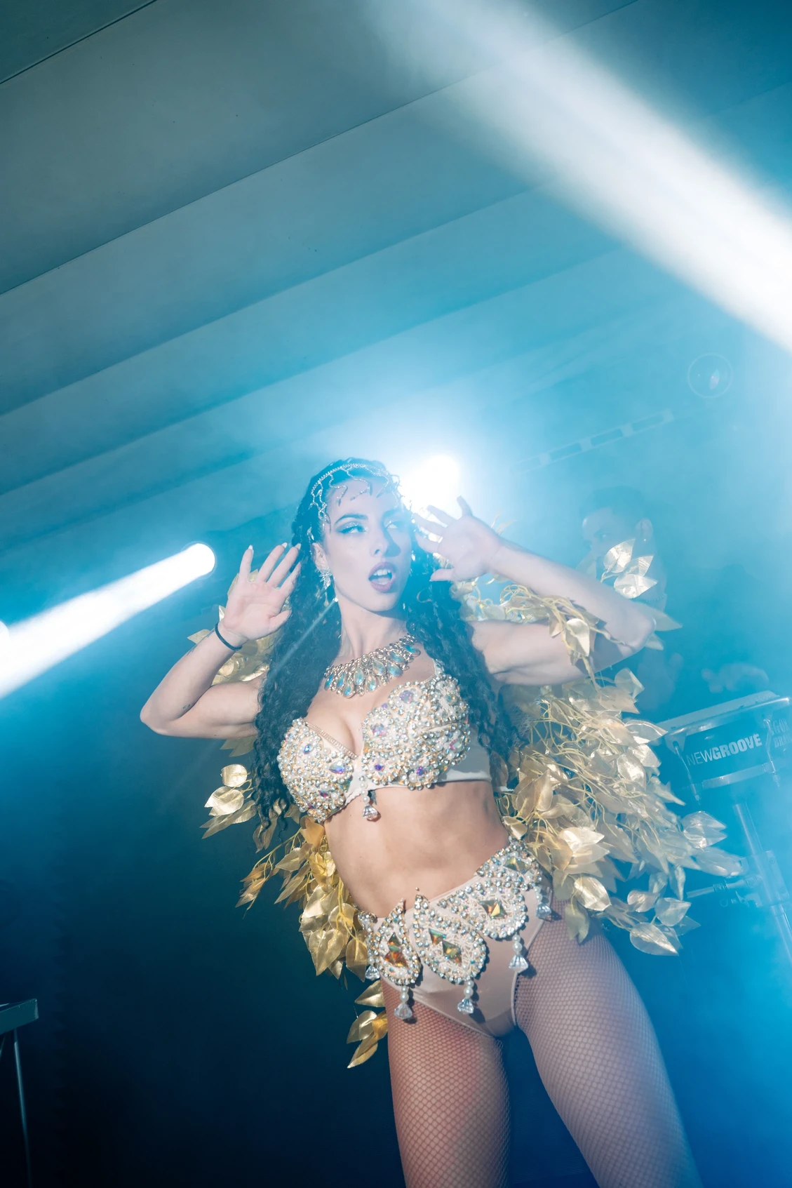 Golden Flowers BGlare Performers