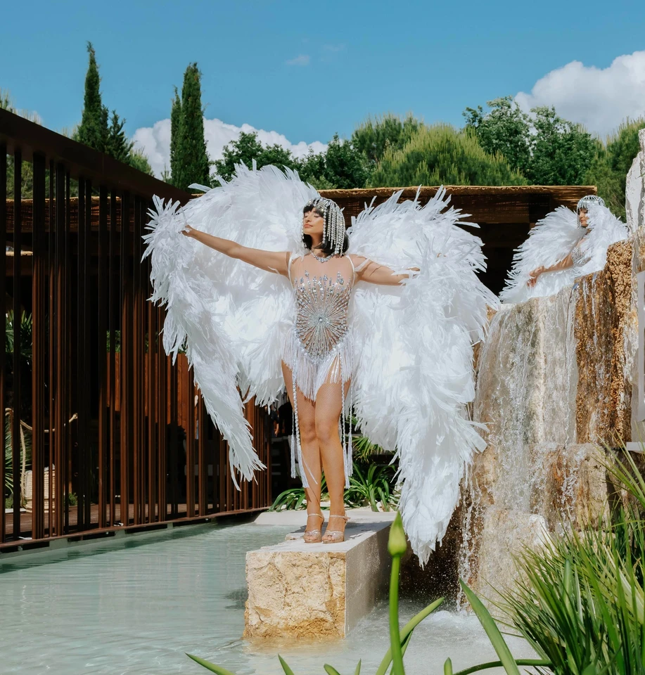 White Wings — spettacoli e accoglienza BGlare Performers